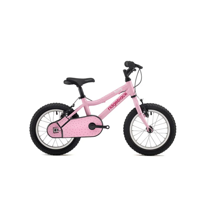Ridgeback cyclone 2018 sale